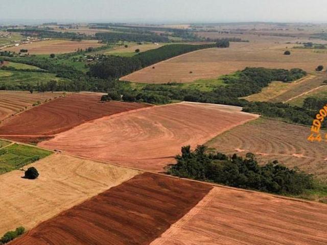 Sítio e chácara venda em Região Geográfica Imediata de Toledo, Terra Roxa