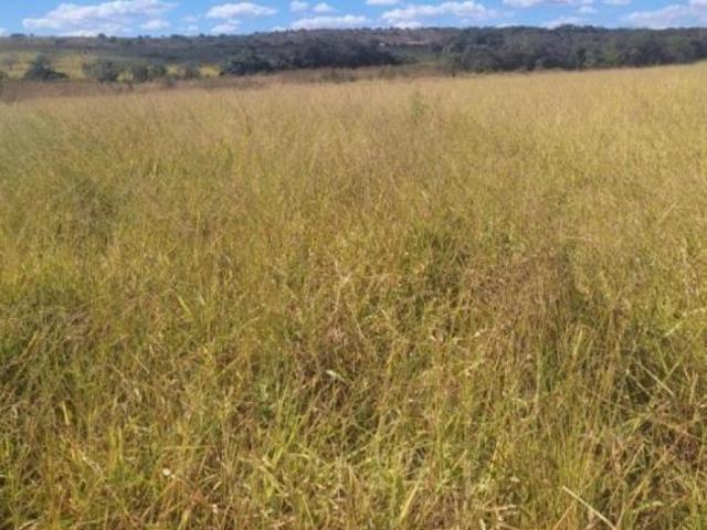 Sítio e chácara venda em Região Geográfica Imediata de Abaeté, Abaeté
