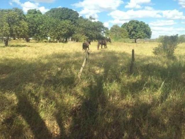 Sítio e chácara venda em Região Geográfica Imediata de Abaeté, Abaeté