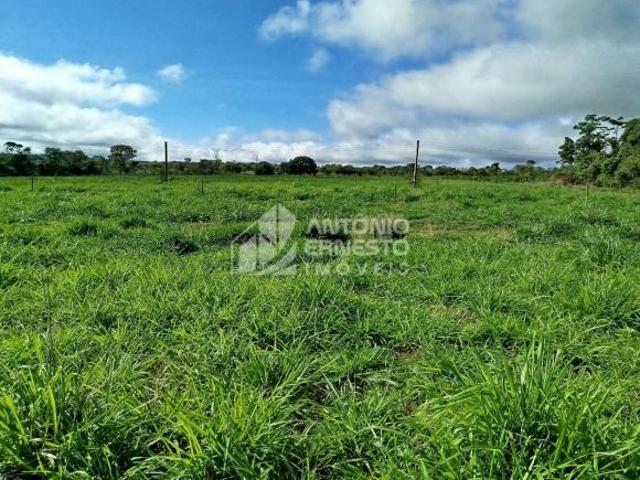 Sítio e chácara venda em Região Geográfica Imediata de Curvelo, Curvelo
