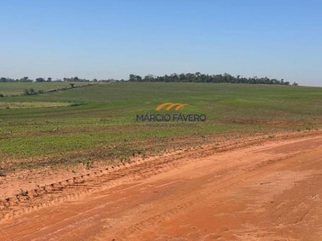 Sítio e chácara venda em Região Imediata de Ourinhos, Santa Cruz do Rio Pardo