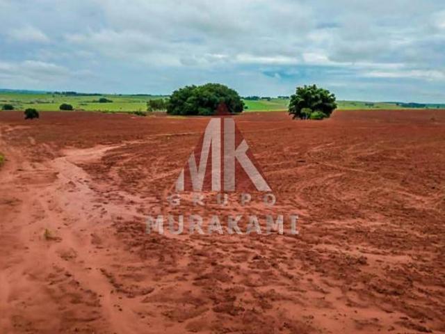Sítio e chácara venda em Região Imediata de Presidente Prudente, Mirante do Paranapanema