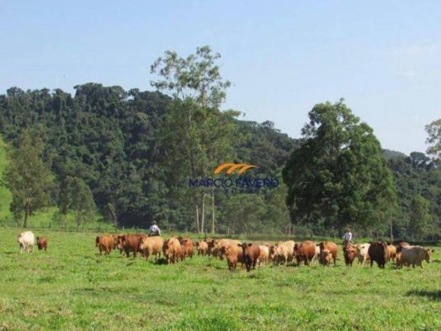 Sítio e chácara venda em Região Imediata de Mogi Guaçu, Itapira