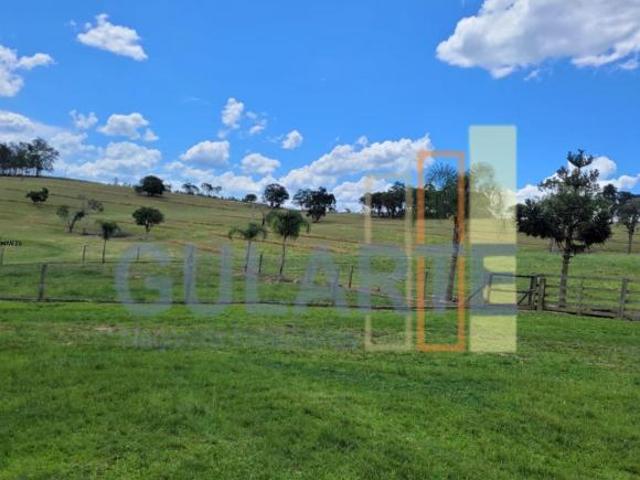 Sítio e chácara venda em Região Geográfica Imediata de Camaquã, Sentinela do Sul