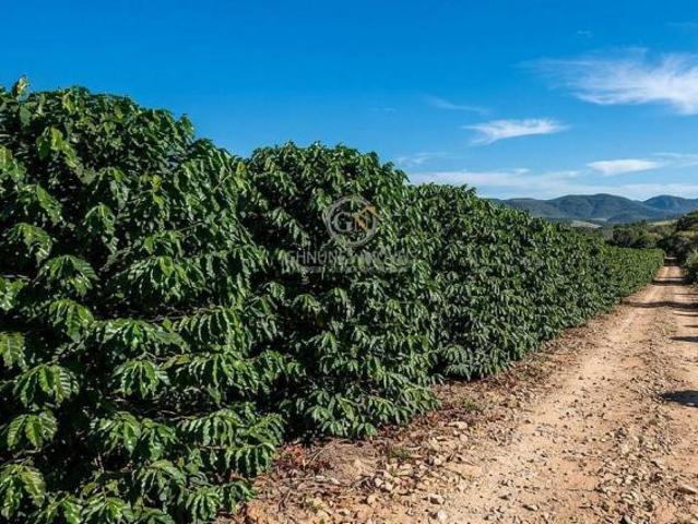 Sítio e chácara venda em Região Geográfica Imediata de Unaí, Região Integrada de Desenvolvimento do Distrito Federal e Entorno