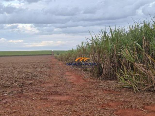 Sítio e chácara venda em Região Imediata de Presidente Prudente, Mirante do Paranapanema