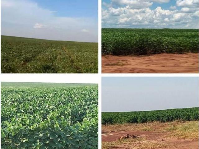 Sítio e chácara venda em Região Geográfica Imediata de Campo Grande, Campo Grande