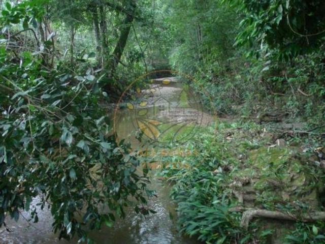 Sítio e chácara venda em Região Geográfica Imediata de Patos de Minas, Vazante
