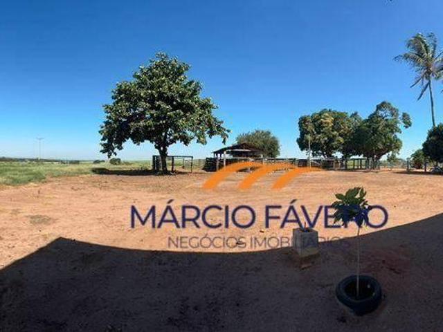Sítio e chácara venda em Região Imediata de Birigui-Penápolis, Região Metropolitana de São José do Rio Preto