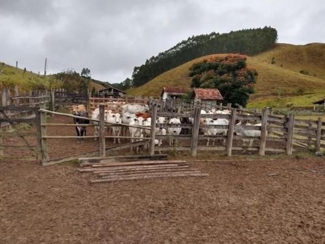 Sítio e chácara venda em Região Imediata de São Paulo, Região Metropolitana de São Paulo