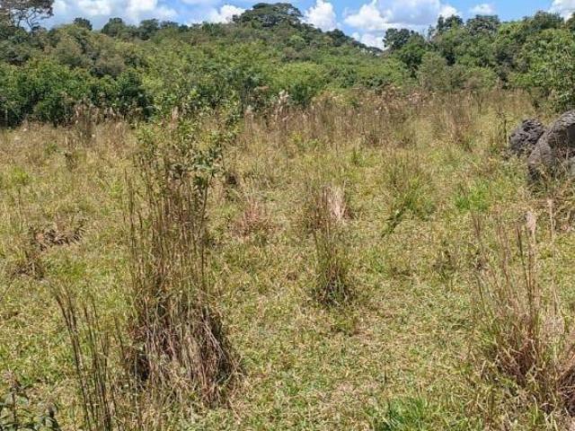 Sítio e chácara venda em Piedade dos Gerais, Região Geográfica Intermediária de Divinópolis