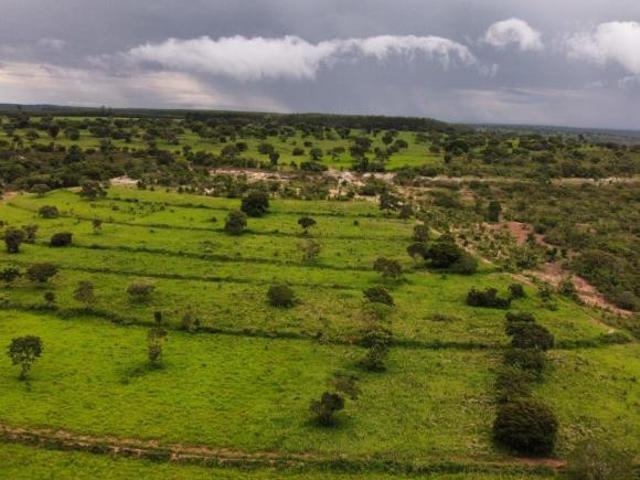 Sítio e chácara venda em Região Geográfica Imediata de Unaí, Bonfinópolis de Minas