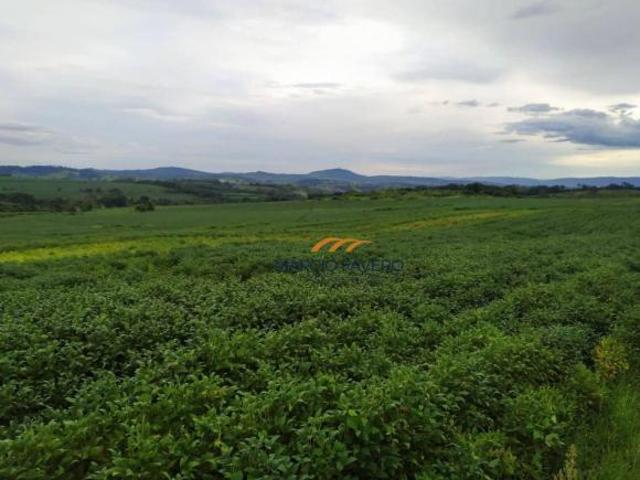 Sítio e chácara venda em Região Imediata de São José do Rio Pardo-Mococa, Tapiratiba