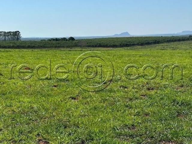 Sítio e chácara venda em Região Geográfica Imediata de São Luís de Montes Belos, Cachoeira de Goiás