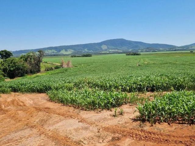 Sítio e chácara venda em Bom Jesus da Lapa, Região Nordeste