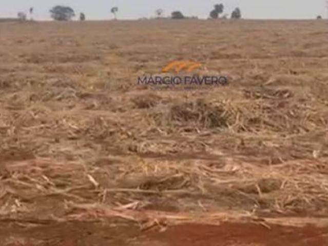 Sítio e chácara venda em Região Imediata de São Carlos, São Carlos
