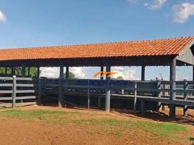 Sítio e chácara venda em Região Imediata de Bauru, Presidente Alves
