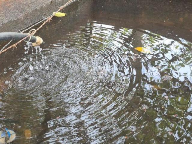 Sítio e chácara venda em Região Geográfica Imediata de Pará de Minas, Onça de Pitangui