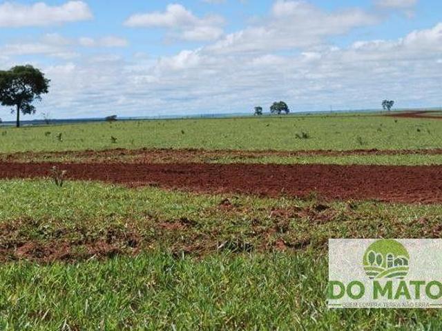 Sítio e chácara venda em Região Geográfica Imediata de Campo Grande, Camapuã