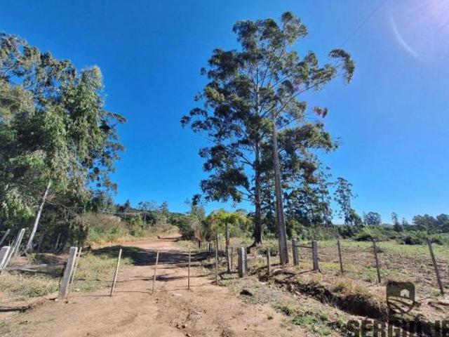 Sítio e chácara venda em Região Geográfica Imediata de Porto Alegre, Região Metropolitana de Porto Alegre