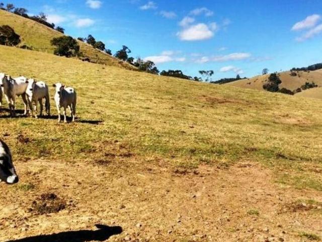 Sítio e chácara venda em Região Geográfica Imediata de Pouso Alegre, Cambuí