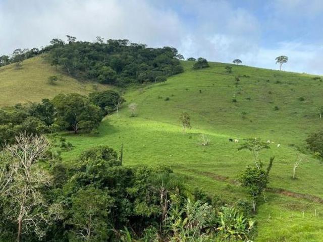 Sítio e chácara venda em Região Geográfica Imediata de Belo Horizonte, Região Metropolitana de Belo Horizonte