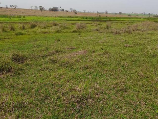 Sítio e chácara venda em Região Imediata de Fernandópolis, Fernandópolis