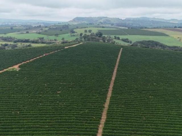 Sítio e chácara venda em Paraguaçu, Região Geográfica Intermediária de Varginha