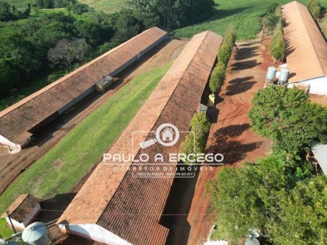 Sítio e chácara venda em Região Geográfica Imediata de Cascavel, Três Barras do Paraná