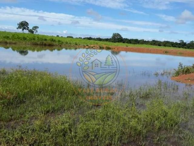 Sítio e chácara venda em Região Geográfica Imediata de São Luís de Montes Belos, São Luís de Montes Belos