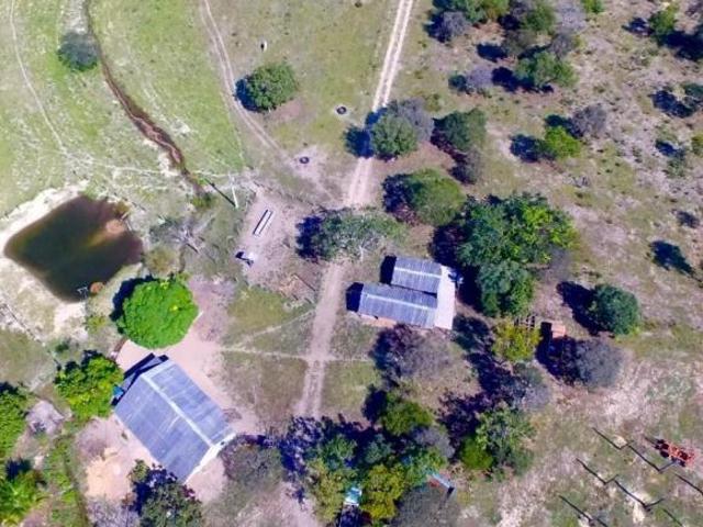 Sítio e chácara venda em Região Geográfica Imediata de Januária, Bonito de Minas