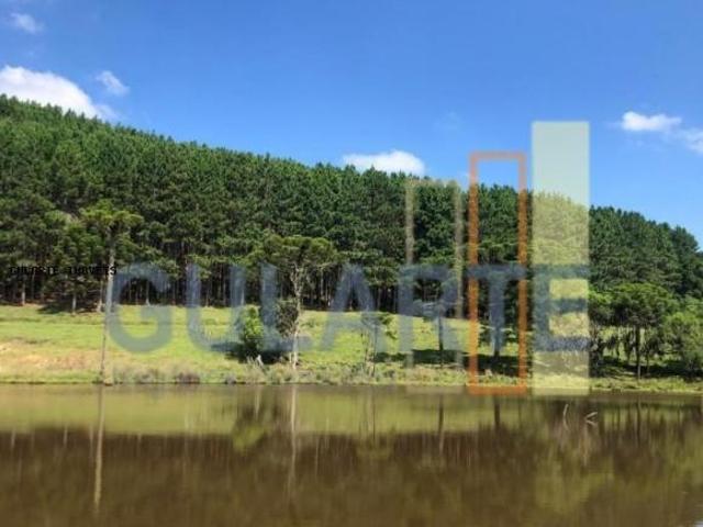 Sítio e chácara venda em Região Geográfica Imediata de Vacaria, Jaquirana