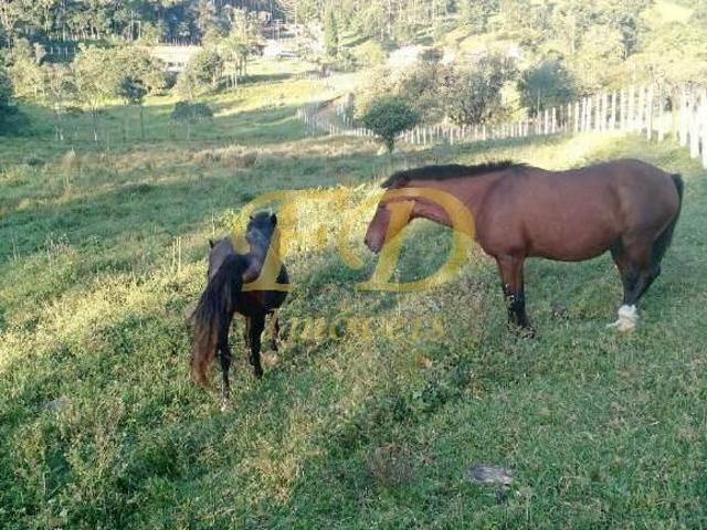 Sítio e chácara venda em Região Imediata de São Paulo, Região Metropolitana de São Paulo