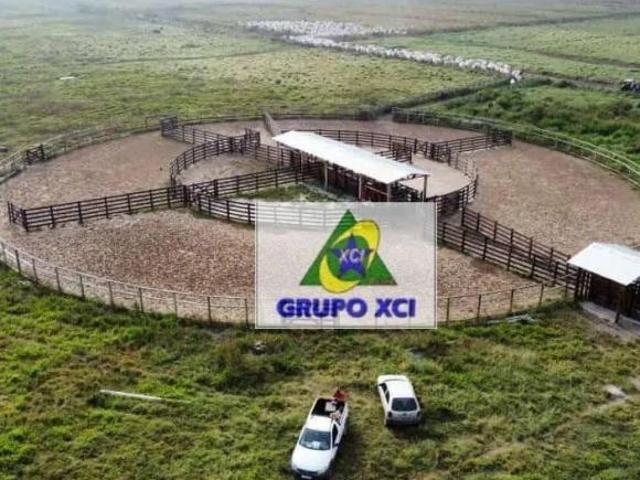 Sítio e chácara venda em Região Imediata de São José dos Campos, Região Metropolitana do Vale do Paraíba e Litoral Norte
