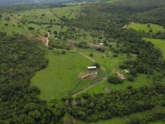 Sítio e chácara venda em Região Geográfica Imediata de Luziânia, Região Integrada de Desenvolvimento do Distrito Federal e Entorno