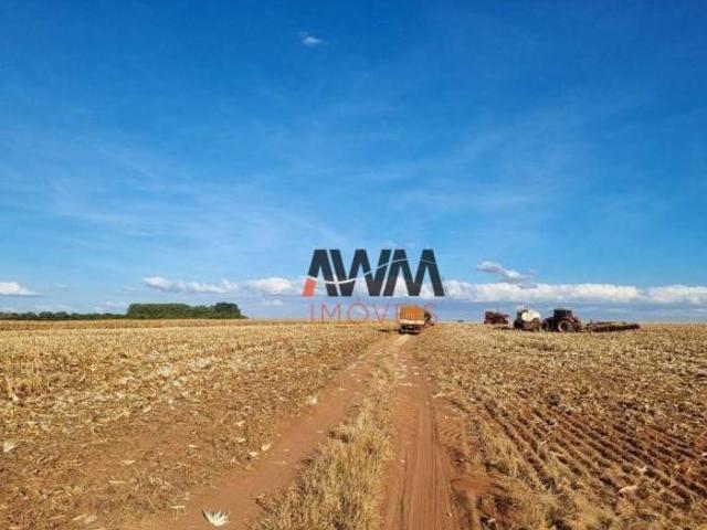 Sítio e chácara venda em Região Geográfica Imediata de Cuiabá, Região Metropolitana do Vale do Rio Cuiabá