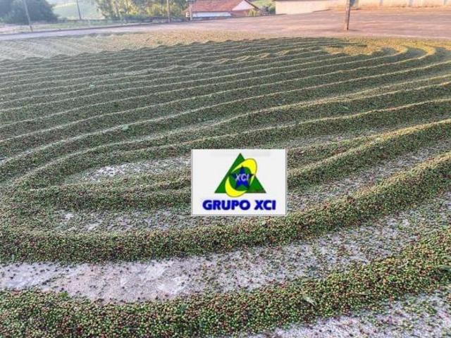 Sítio e chácara venda em Região Geográfica Imediata de Pouso Alegre, Ouro Fino
