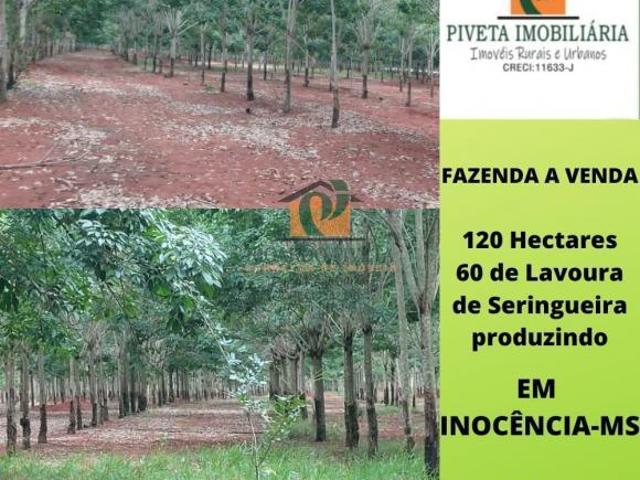 Sítio e chácara venda em Região Geográfica Imediata de Paranaíba - Chapadão do Sul - Cassilândia, Inocência
