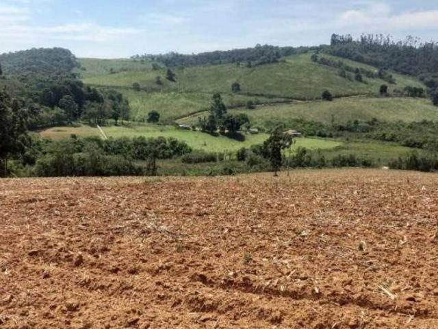 Sítio e chácara venda em Região Geográfica Imediata de Pouso Alegre, Ipuiúna