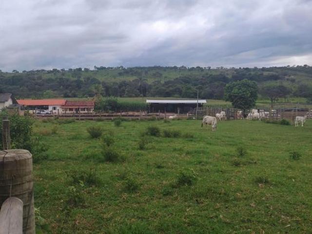 Sítio e chácara venda em Região Geográfica Imediata de Dores do Indaiá, Moema