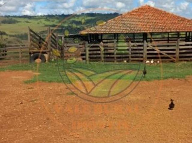 Sítio e chácara venda em Região Geográfica Imediata de Patos de Minas, Presidente Olegário