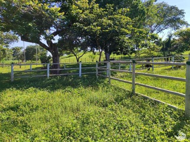Sítio e chácara venda em Região Geográfica Imediata de Patos de Minas, Paracatu