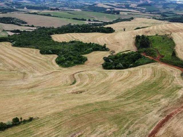 Sítio e chácara venda em Região Geográfica Imediata de Francisco Beltrão, Renascença