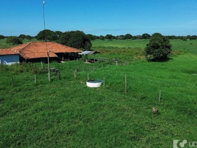 Sítio e chácara venda em Região Geográfica Imediata de Patos de Minas, João Pinheiro