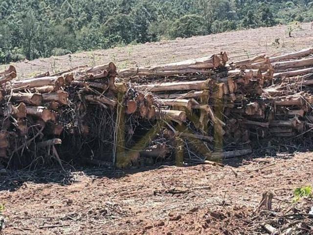 Sítio e chácara venda em Região Imediata de Amparo, Amparo