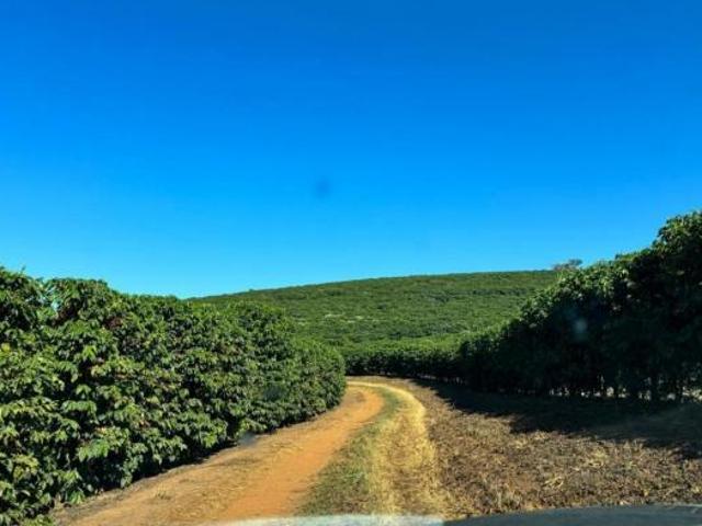 Sítio e chácara venda em Região Imediata de São José do Rio Pardo-Mococa, Caconde