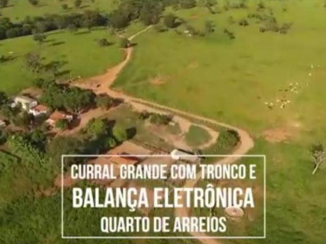 Sítio e chácara venda em Região Geográfica Imediata de Curvelo, Curvelo