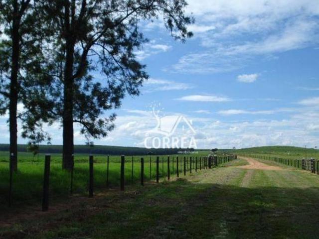 Sítio e chácara venda em Região Imediata de Marília, Marília