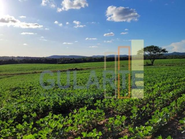Sítio e chácara venda em Região Geográfica Imediata de Bagé, Região Sul