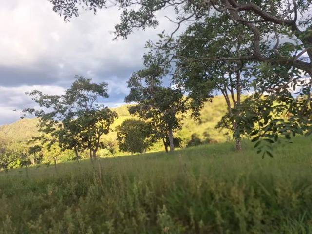 Fazenda venda em Região Geográfica Imediata do Distrito Federal, Região Integrada de Desenvolvimento do Distrito Federal e Entorno